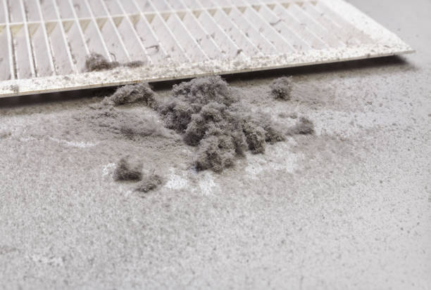 Best Ductwork Cleaning Services  in Evansdale, IA